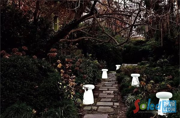 ���Ƶ��ӵ�������