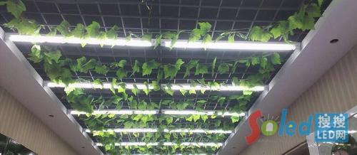 ��(gu��)��LED����T8������ĳ���yƷ���(n��i)���\(y��n)��