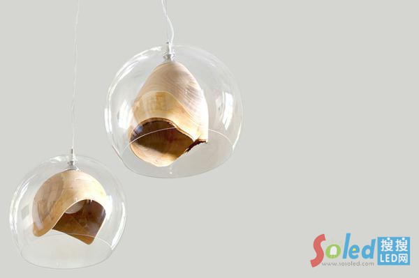 &ldquo;teca&rdquo;��