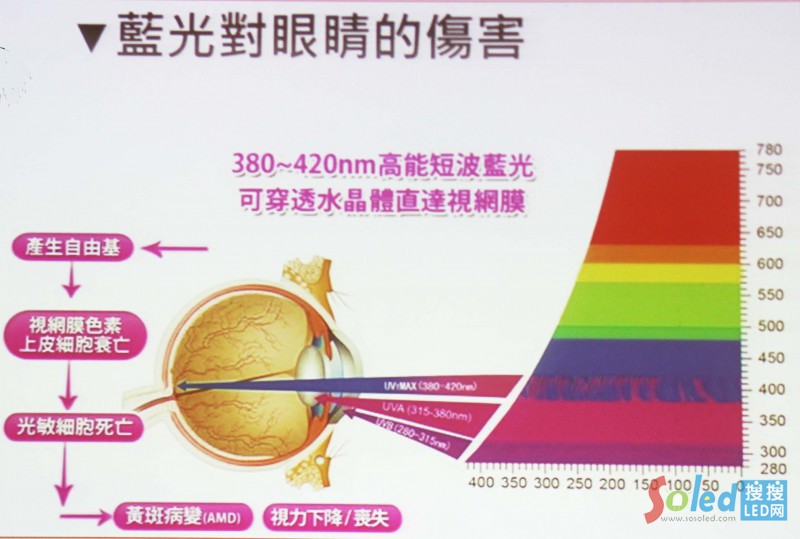 �{(l��n)�⌦�۾���Σ��