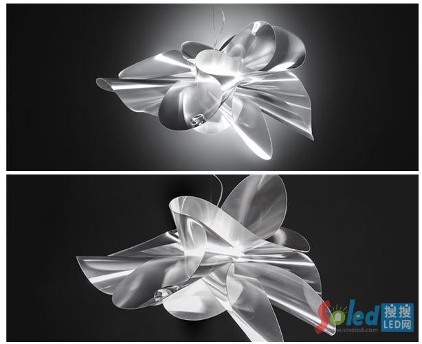 �������ȹ����