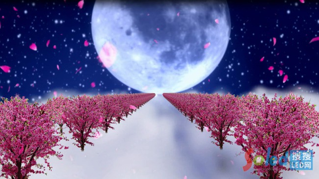 ���������