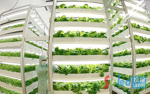 LEDֲ�����L(zh��ng)