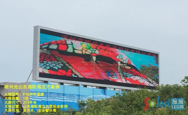 ɽ�|���(y��ng)����������