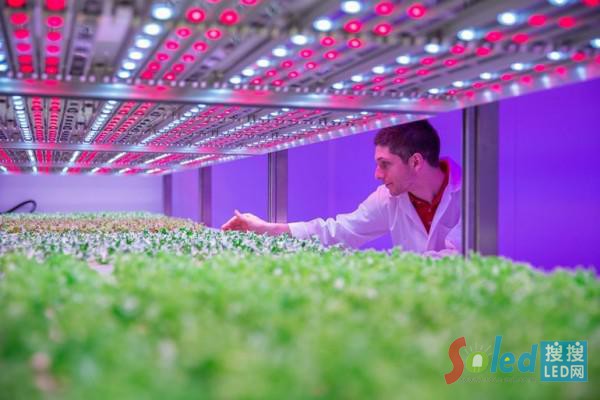 �w�����аl(f��)����ʳ�V