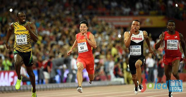 ���ȿ񱼰�������ɭ