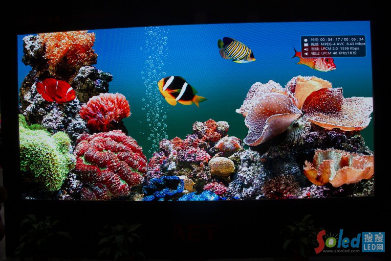 Ħ����LED�@ʾ��